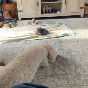 Meet your Posher, Marcus